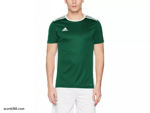 Adidas T-shirt Entrada 18 Match Jersey, Uomo/Ragazzo - Art. CD8358 (Verde/Bianco