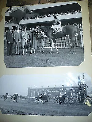 5 Photos Of The Mexico City Racetrack 1960 Mexico Horses Racing Jockey