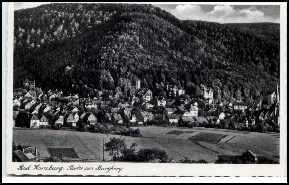 Bad Harzburg Niedersachsen alte AK 1938 Postkarte Partie am Burgberg ungelaufen