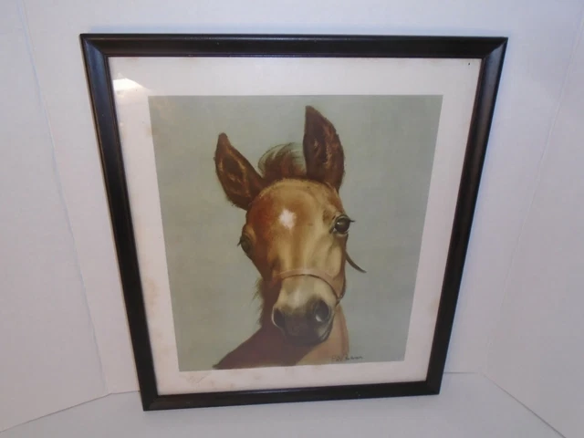 C. W. Anderson   ''Young Hopeful"   Horse Print With Frame