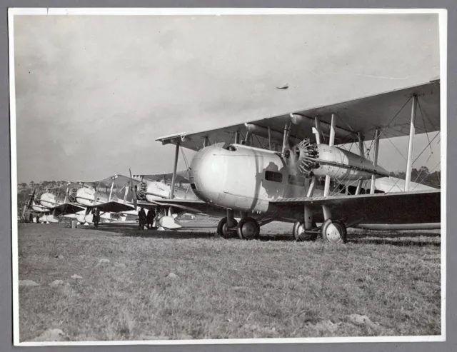 Vickers Valentia & Vildebeest Vintage Press Photo Raf Royal Air Force