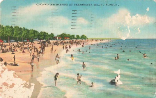 Clearwater Beach FL Florida, Winter Sunbathers & Swimmers, Vintage Postcard