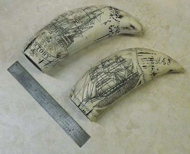 Lot of 2 (Two) Scrimshawed Faux Whale Teeth