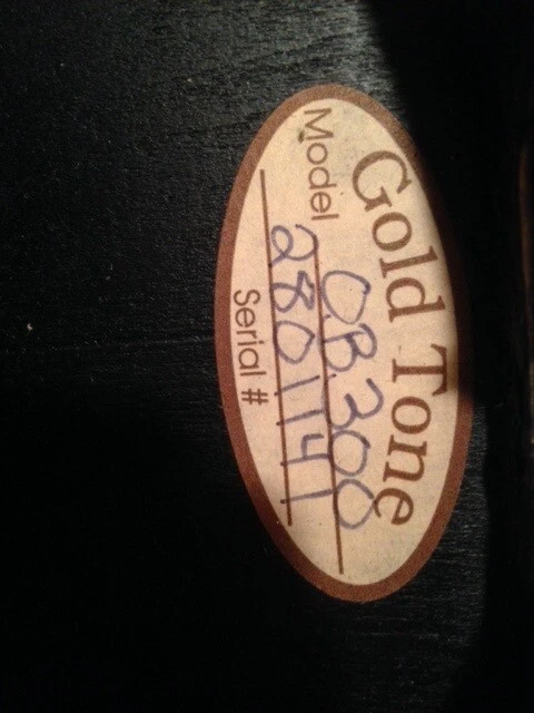 Banjo 5 cordes OB300