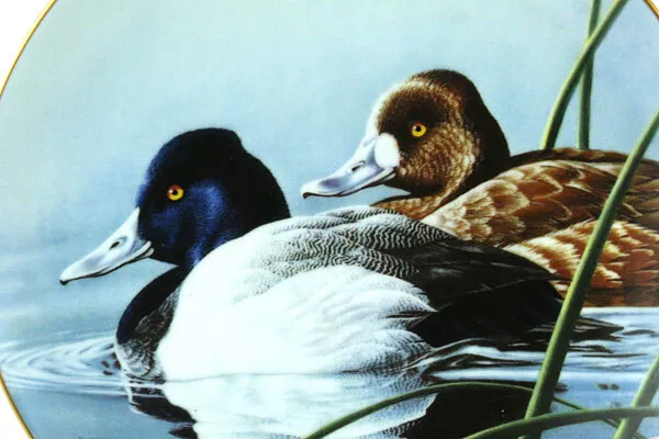 WS George 1990 The Lesser Scaup Federal Duck Stamp Fine China Plate Bradford 2