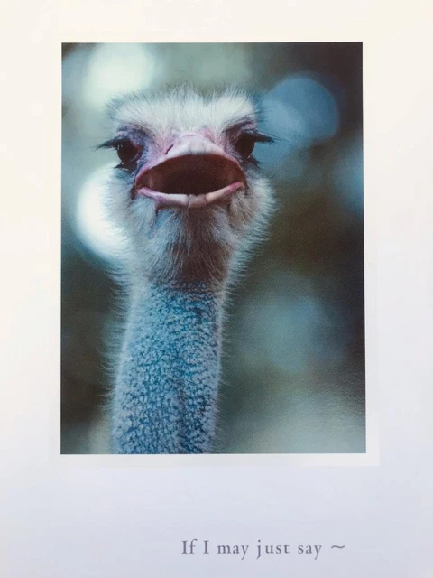 Lustige Geburtstagskarte Zum 80. – „Eighty’s Not Old, It’s Just Extra-Mature!“ | 15x15 Cm | Mit Umschlag
