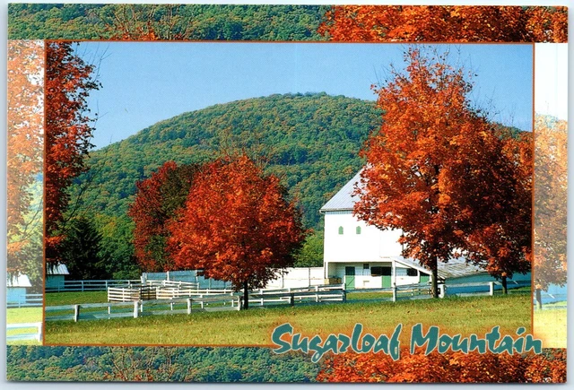 Postcard - Sugarloaf Mountain - Frederick, Maryland
