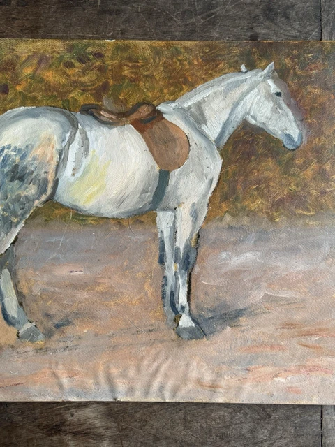 Étude Et Portrait De Cheval - Fin XIXème - Peinture Sur Carton - France