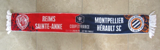Un champion d'Europe débarque au Vendée Luçon Football