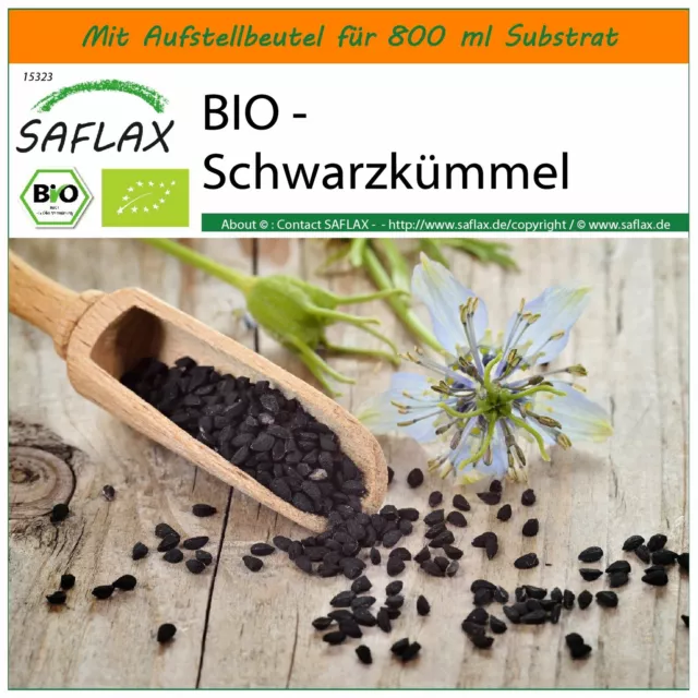 SAFLAX Garden in the Bag - BIO - Schwarzkümmel - Nigella - 300 Samen
