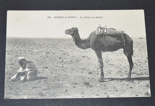 Cpa Carte Postale 1918 Colonie Francaise Maroc Maghreb Priere Dans Le Desert