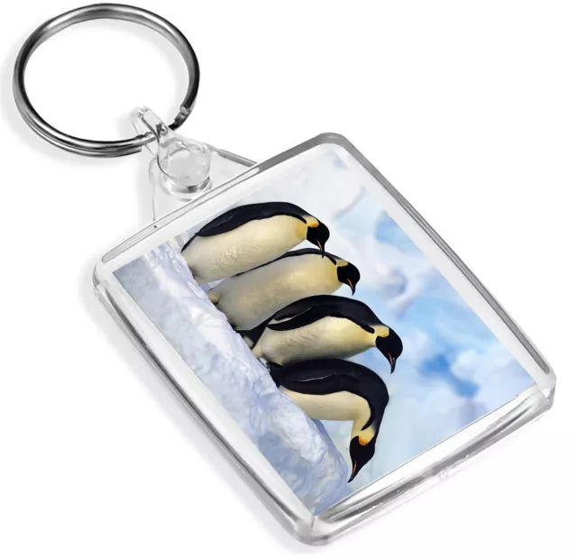 Cute Funny Penguins Keyring - IP02 - Arctic Snow Bird Nature Wild Gift #8102