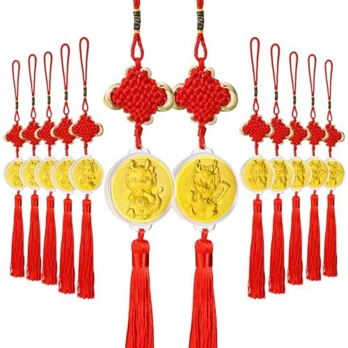 Chinese New Year Decorations 2024 Year of The Coins Chinese Knot 12 Dragon