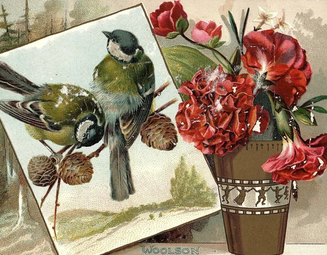 1880s Midsummer Greeting Lion Coffee Woolson Spice Co. Blue Jays Cones Rose's