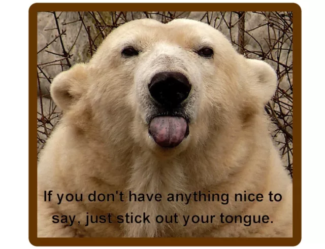 Funny Polar Bear  Nice Tongue  Refrigerator / Tool  Box / Locker  Magnet