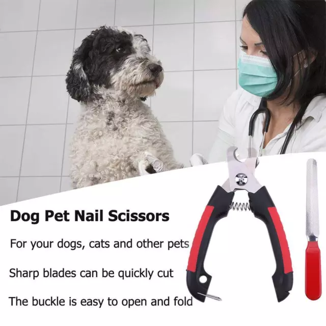 Tagliaunghie per cani in acciaio inox lavabili per cani taglia unghie forniture per animali domestici
