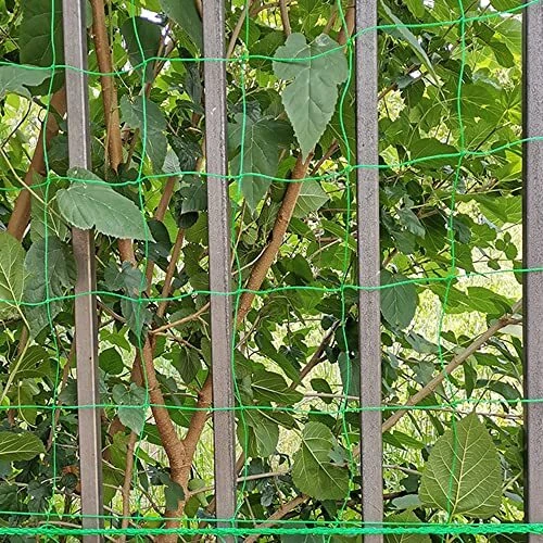 Filet de jardin en maille de 18 x 36 m treillis en polyéthylène pour pois de ...