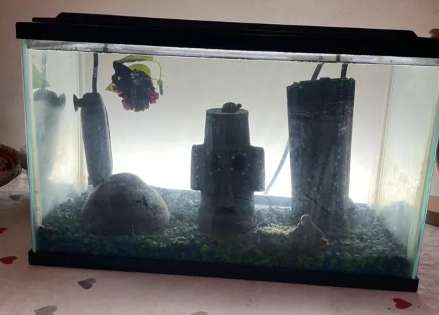 Aqua Culture 5 Gallons Fish Tank Aquarium USED with Ornaments
