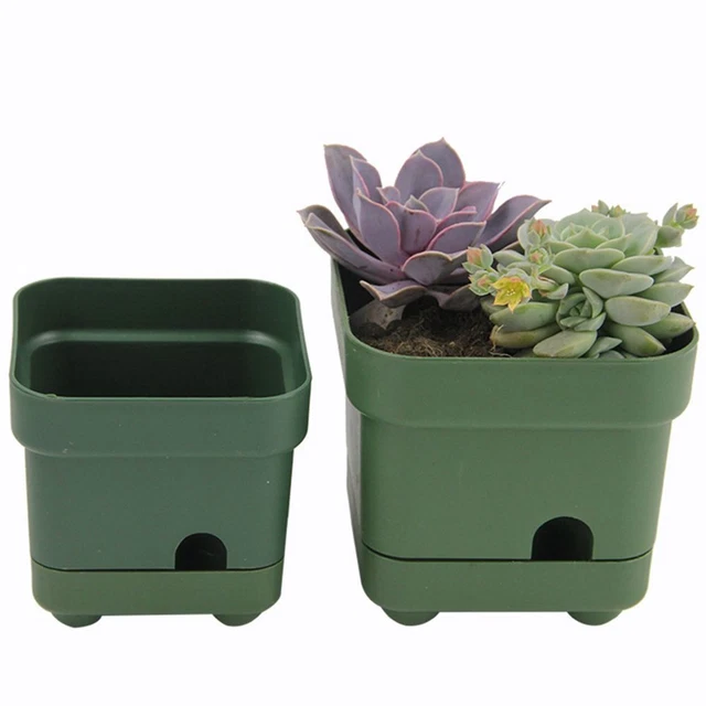 Conteneur d'usine Pot de Plante Pots de fleurs Planteur Boîte succulente