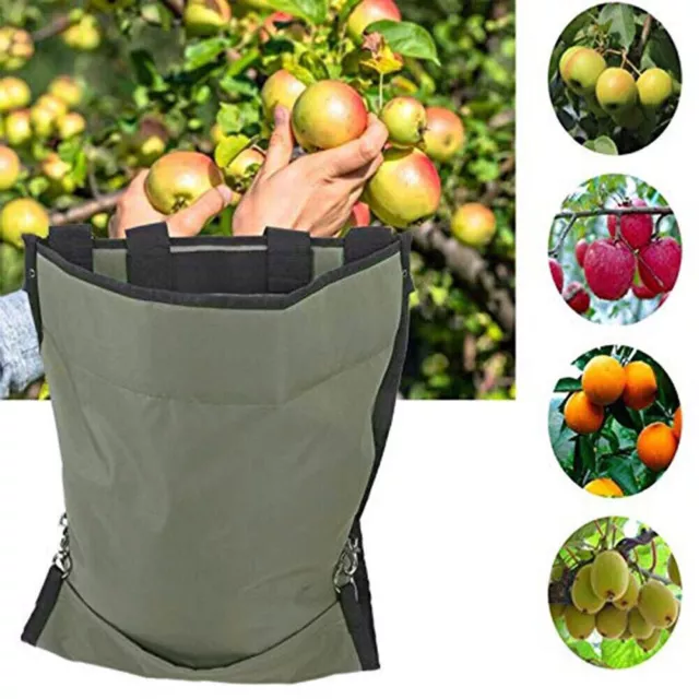 Fruit Picking Bag Garden Orchard Harvest Storage Apron Bag Apple Vegetable Bag 2