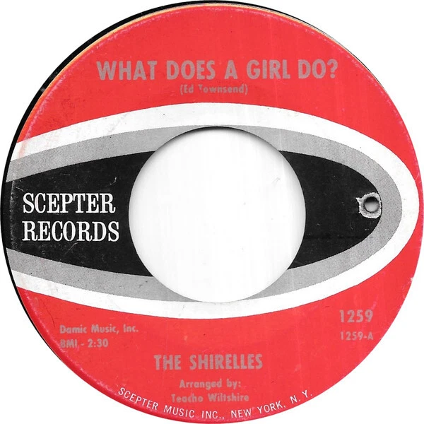 THE SHIRELLES What Does A Girl Do?, 7" (Vinyle) EUR 20,58 PicClick FR