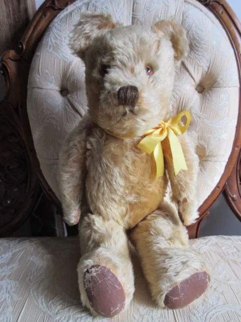 English 1950s teddy bear 21” tall wood wool filled square muzzle profile