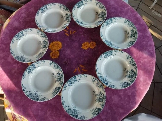 7 ASSIETTES CREUSES Terre Fer Saint Amand Hamage Modèle Marie Louise