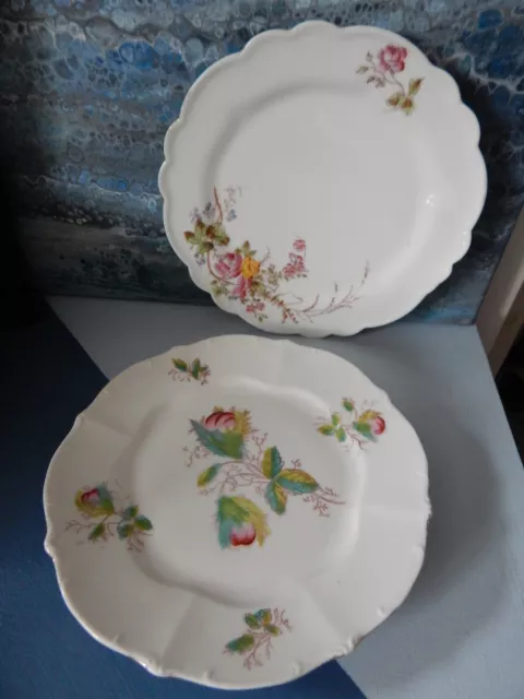 Lot de 2 assiettes en porcelaine Limoges avec fleurs ancienne