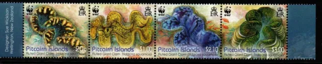 PITCAIRN ISLANDS SG865a 2012 FLUTED GIANT CLAM  MNH