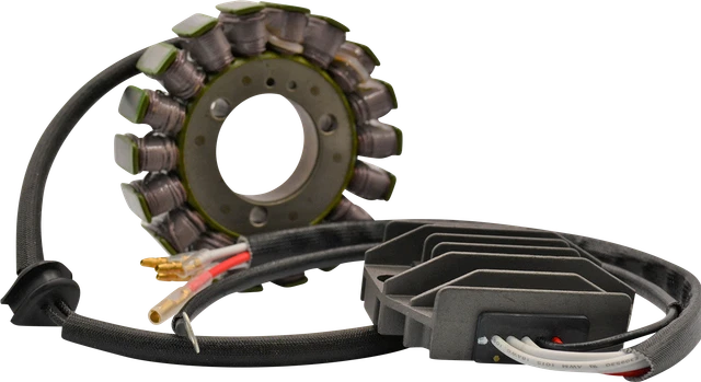 Rick's Motorsport Lithium-Ion Charging Kit #14-99-200H