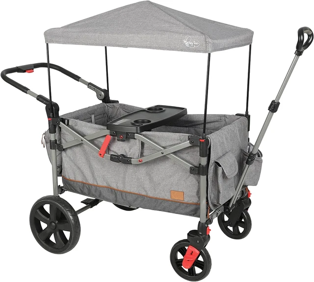 Busybee Foldable Stroller Wagon for 2 Kids, Push Pull Collapsible Stroller with