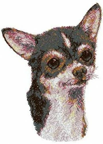 Chihuahua puppy Violet. by Maria Kalinina