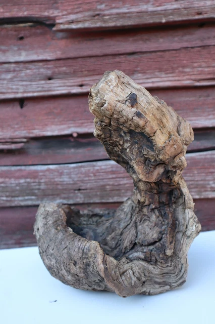 12x8x7" Driftwood Freshwater Untreated Terrarium Aquarium Crafts #7
