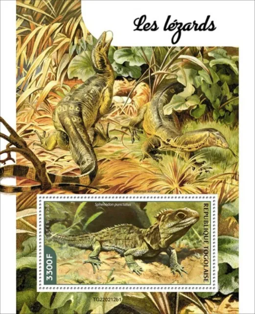 Togo - 2022 Brückenechse Eidechse - Briefmarke Souvenir Blatt - TG220212b1