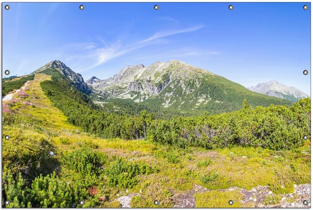 Wallario Garten Bakon Poster Zaun Sichtschutz wetterfest - Berggipfel Tatra Baum
