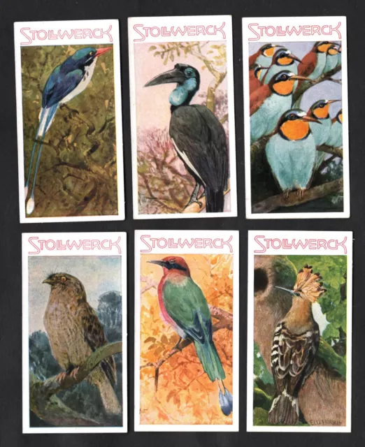 Stollwerck Animal Kingdom 1932 Album Ser 22 German Card Set Game Birds Tropical