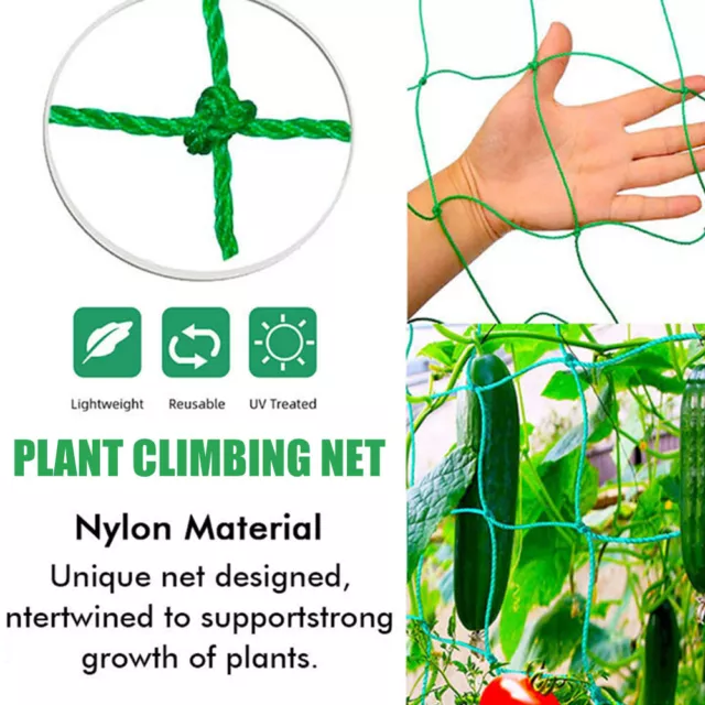 Garden Plant Climbing Net Trellis Netting Mesh Support Fruits Vine Veggie Bean