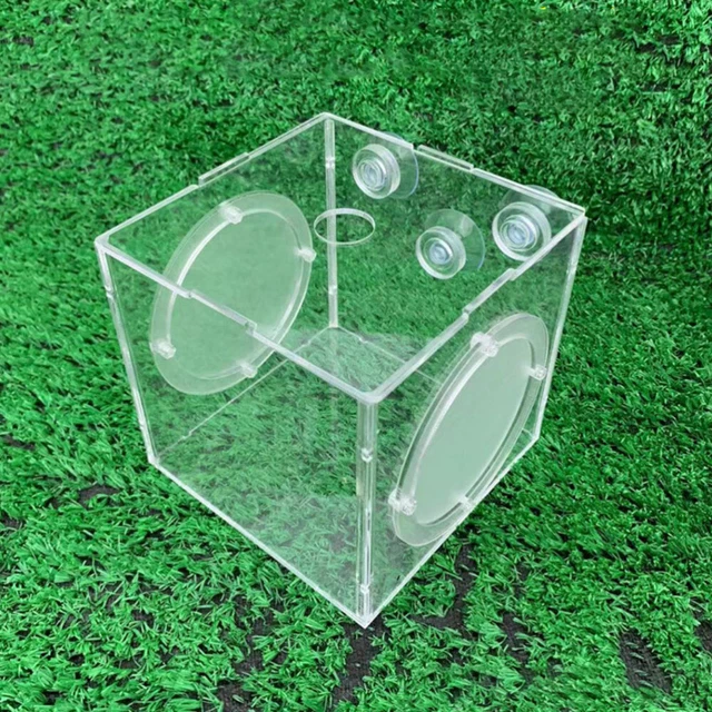 REPTILE BREEDING BOX Aquarium Hatching Box Fish Separator Box £10.99