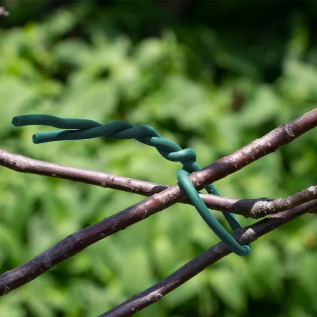 Green Plastic Coated Iron Wire Tie Roll Garden Plants Rust Protected Cable Tying