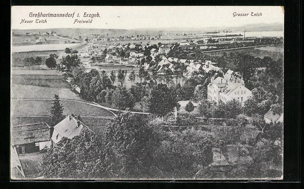 AK Großhartmannsdorf i. Erzgeb., Gesamtansicht mit Freiwald und Großer Teich