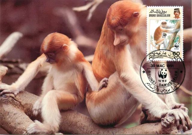 E0008 WWF Maximum Card 1991 Fauna Animals Brunei Proboscis Monkey