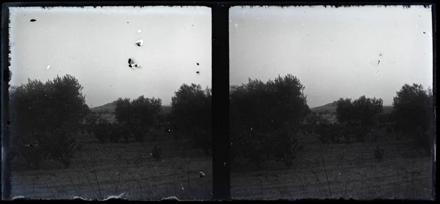 FRANCE Paysage c1930 Photo NEGATIVE Plaque verre Vintage V24L8n