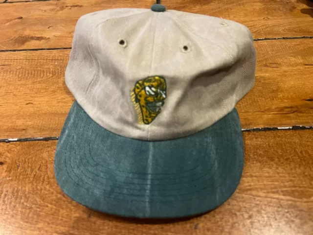 Vintage Extreme Cheesehead Hat Green Bay Football Prefade  Strapback Nos 90S Cap