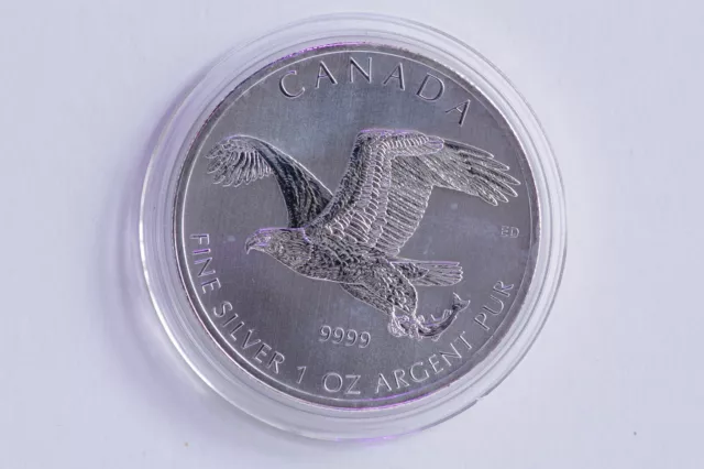 2014 1oz Silver Bald Eagle. Bird of Prey Series Canada 5 Dollars (2414)