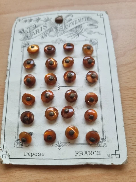 Plaque De 12 Gros Boutons Anciens Marron - Diamètre 2,6 Cm, Occasion, Origine France