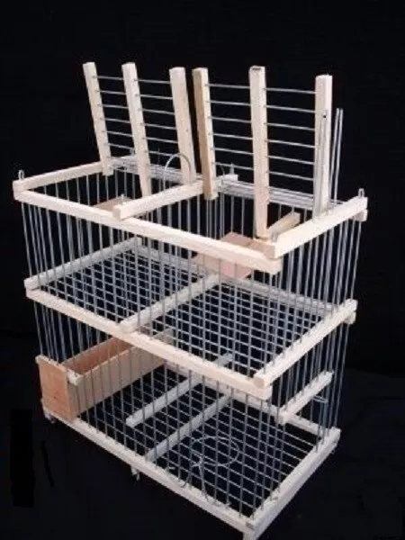 Cage à Deux  Trébuchet pour oiseaux + cage appelant