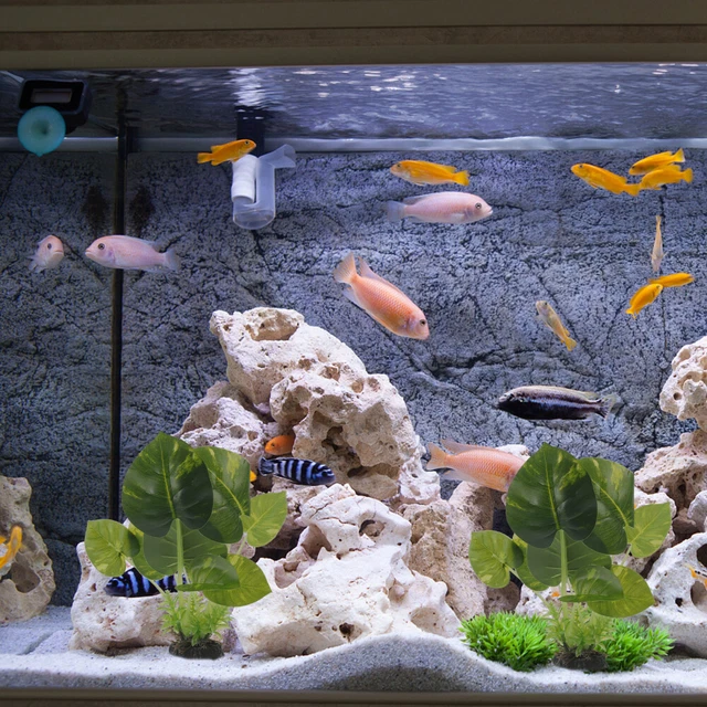 Piante Acquatiche Artificiali Per Acquario – 38 Cm, Realistiche, Atossiche, Per Acqua Dolce E Salata