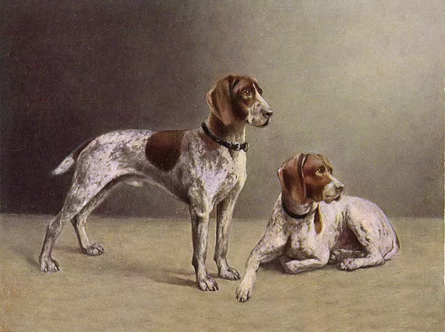 German Shorthaired Pointer Two Dogs Lovely Dog Greetings Note Card