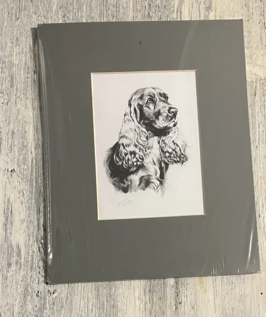 Cocker Spaniel - Mike Sibley - Hand Matted - New