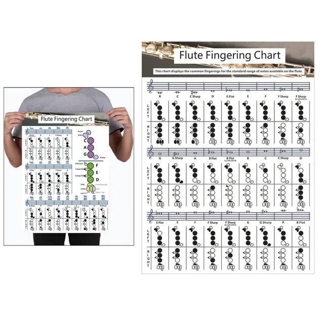 FLUTE CHART MUSIC Chords Poster Poster Accessories Practical for Kids ...